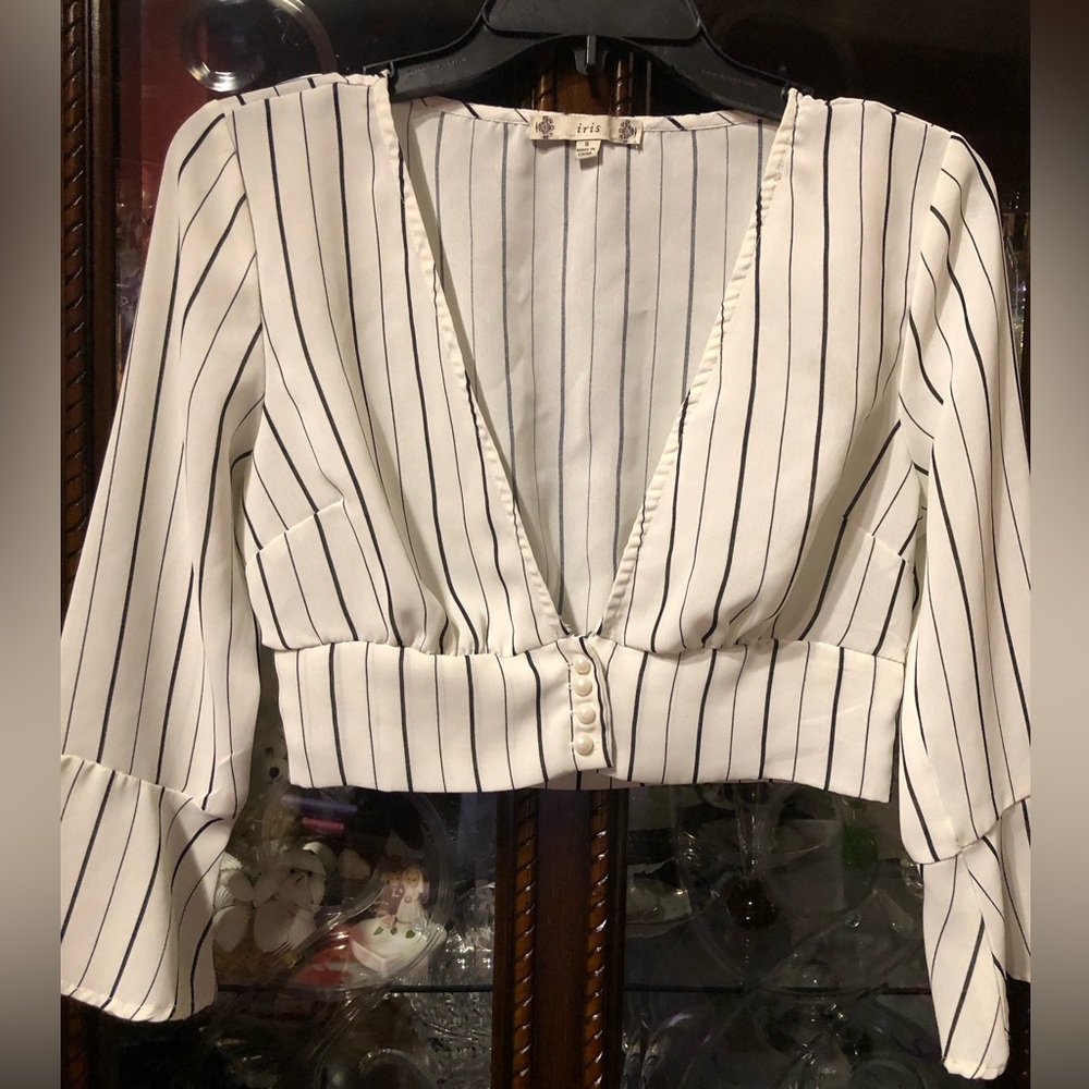 iris White Pinstripe Deep V Crop Blouse